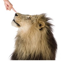 El�sz�r az OS X Lion jelenik meg, majd ezut�n a friss hardverek