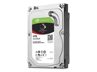 Seagate IronWolf 4 TB (ST4000VN006)